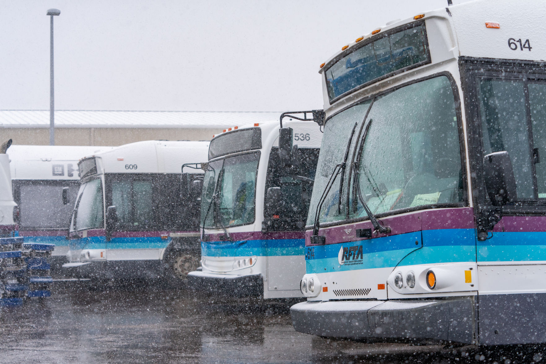 RFTA buses parked